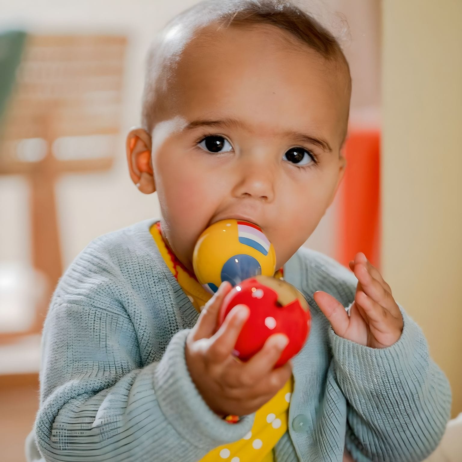 Maracas do cão Dachshund ( Imagem 4 de 4 ) - Preview