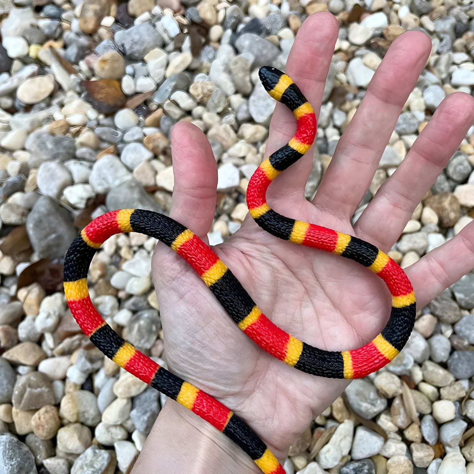 Figura de borracha - Cria de cobra coral ( Imagem 3 de 4 ) - Preview
