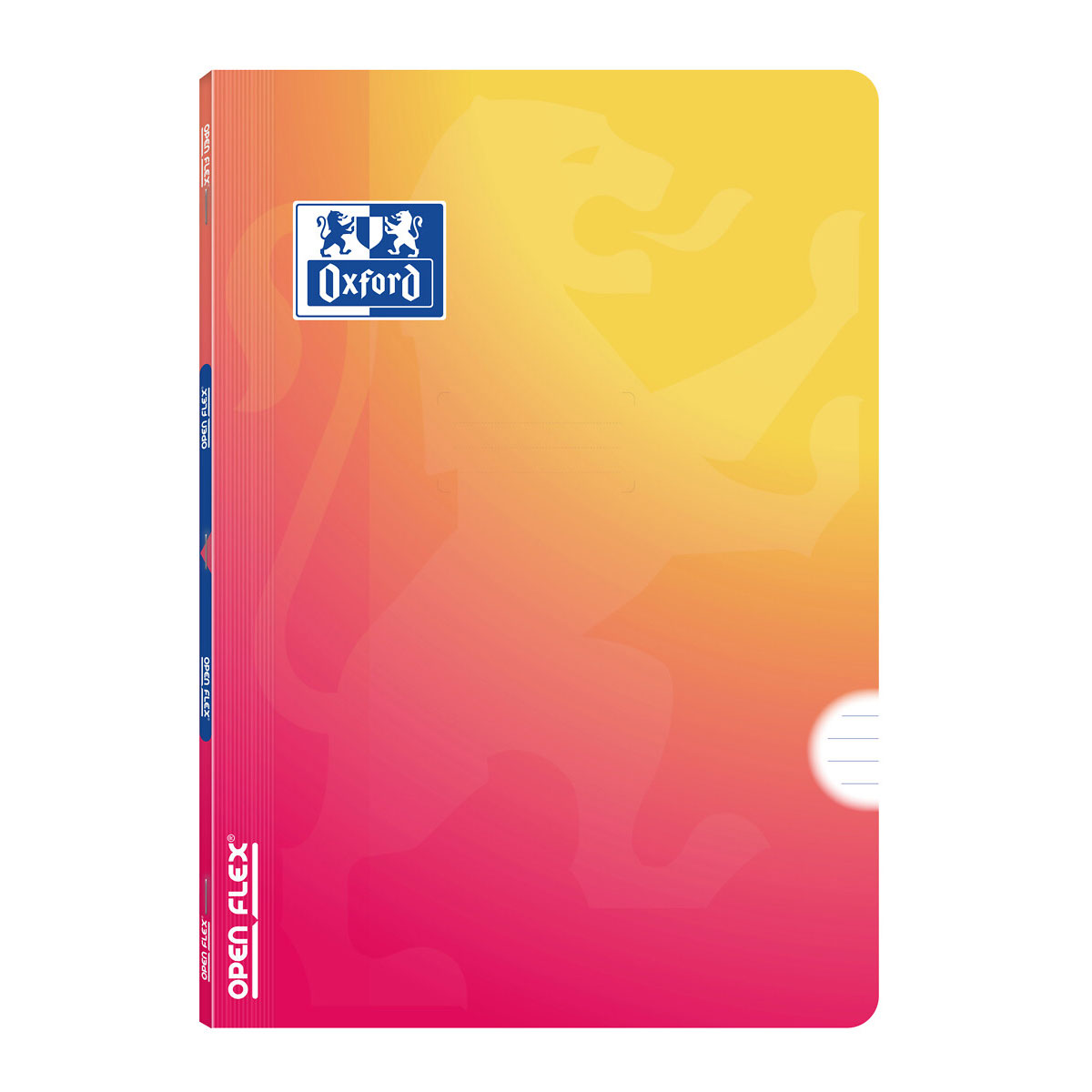 Caderno A4 Capa Plastica Agrafado Oxford Openflex Gradient Pautado 48Fl 90G Sortido 400207167 ( Imagem 4 de 4 ) - Preview