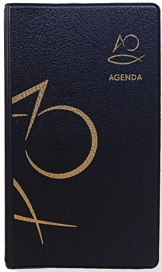 Liturgical Agenda 2027 ( Imagem 3 de 3 ) - Preview