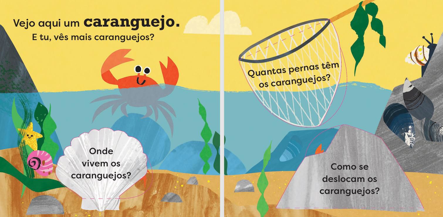 Que Animais do Mar Vês Aqui? ( Imagem 3 de 3 ) - Preview