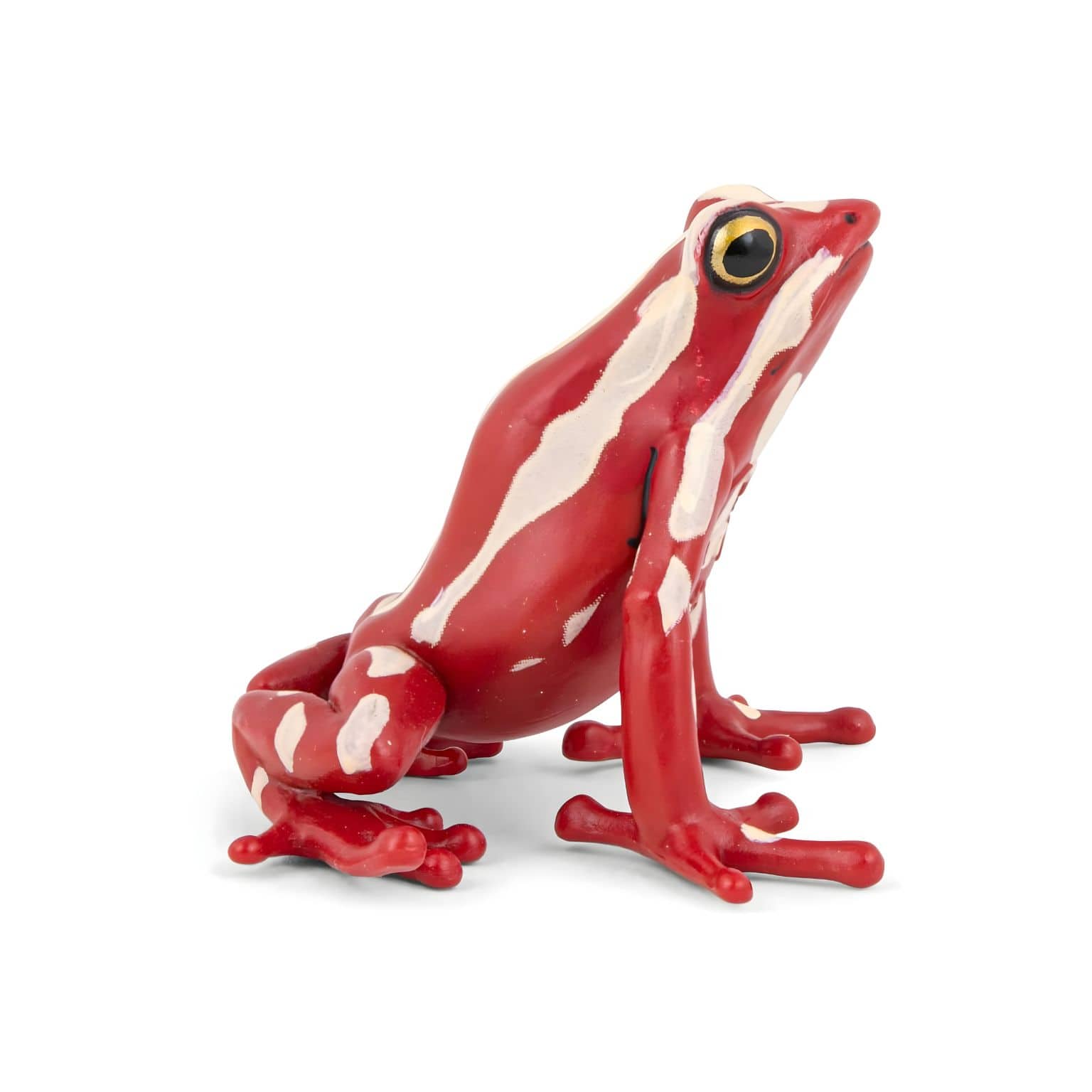 Figura de borracha - Rã-de-seta-tricolor ( Imagem 3 de 4 ) - Preview