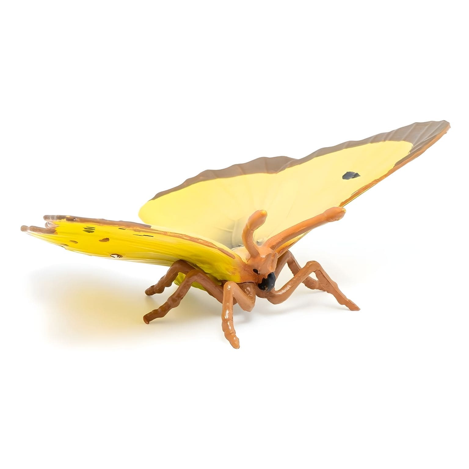 Figura de borracha - Borboleta-marisol ( Imagem 3 de 4 ) - Preview
