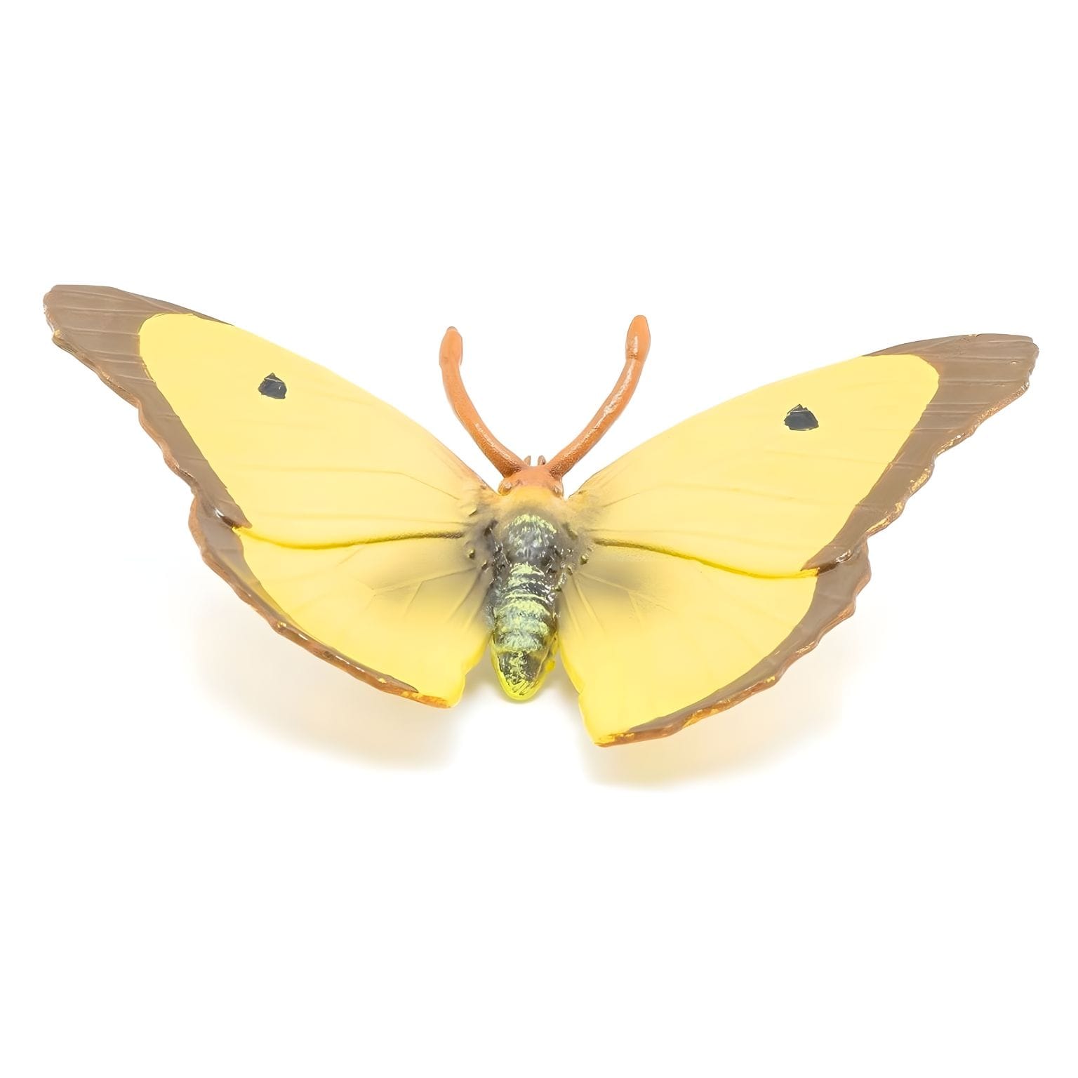 Figura de borracha - Borboleta-marisol ( Imagem 4 de 4 ) - Preview