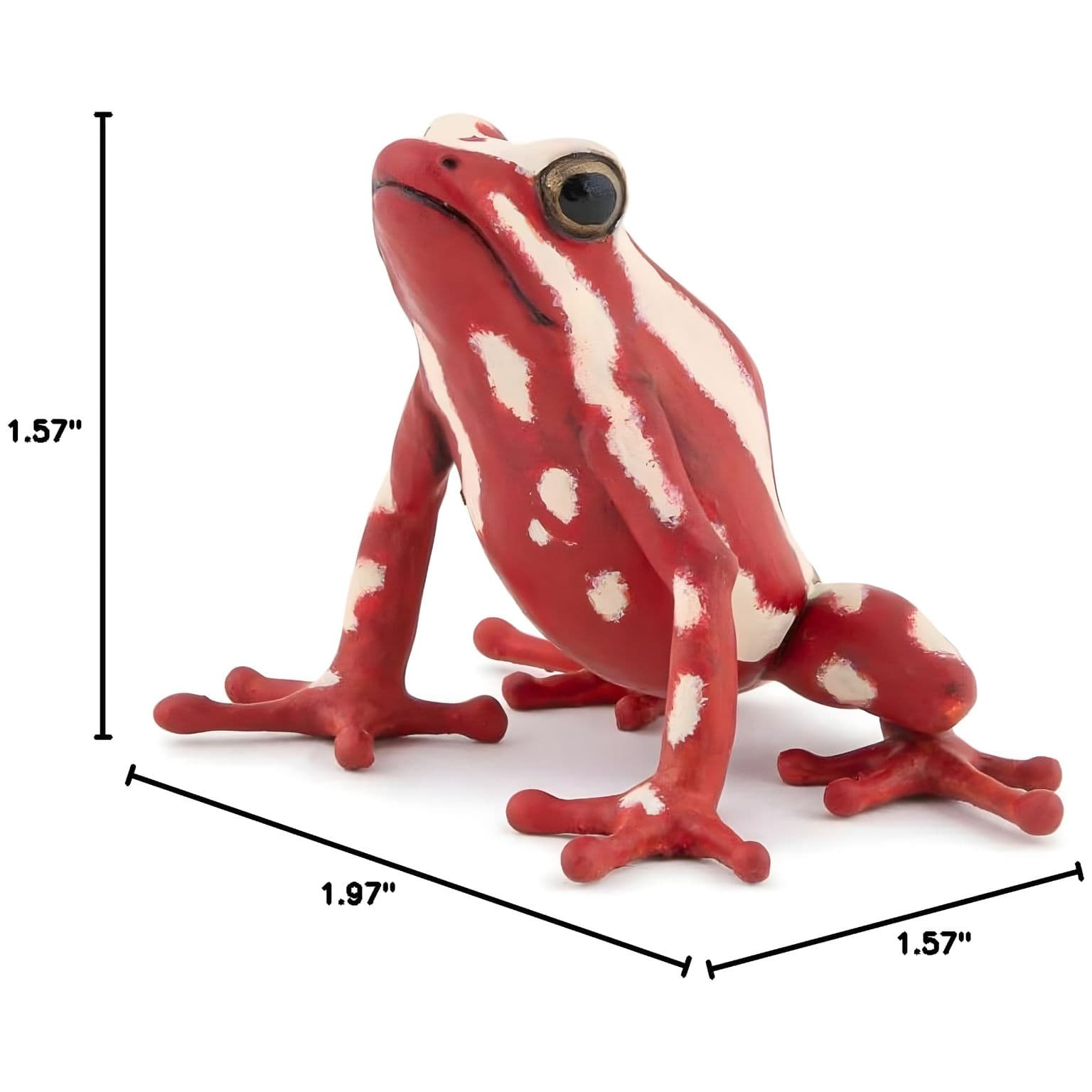 Figura de borracha - Rã-de-seta-tricolor ( Imagem 4 de 4 ) - Preview