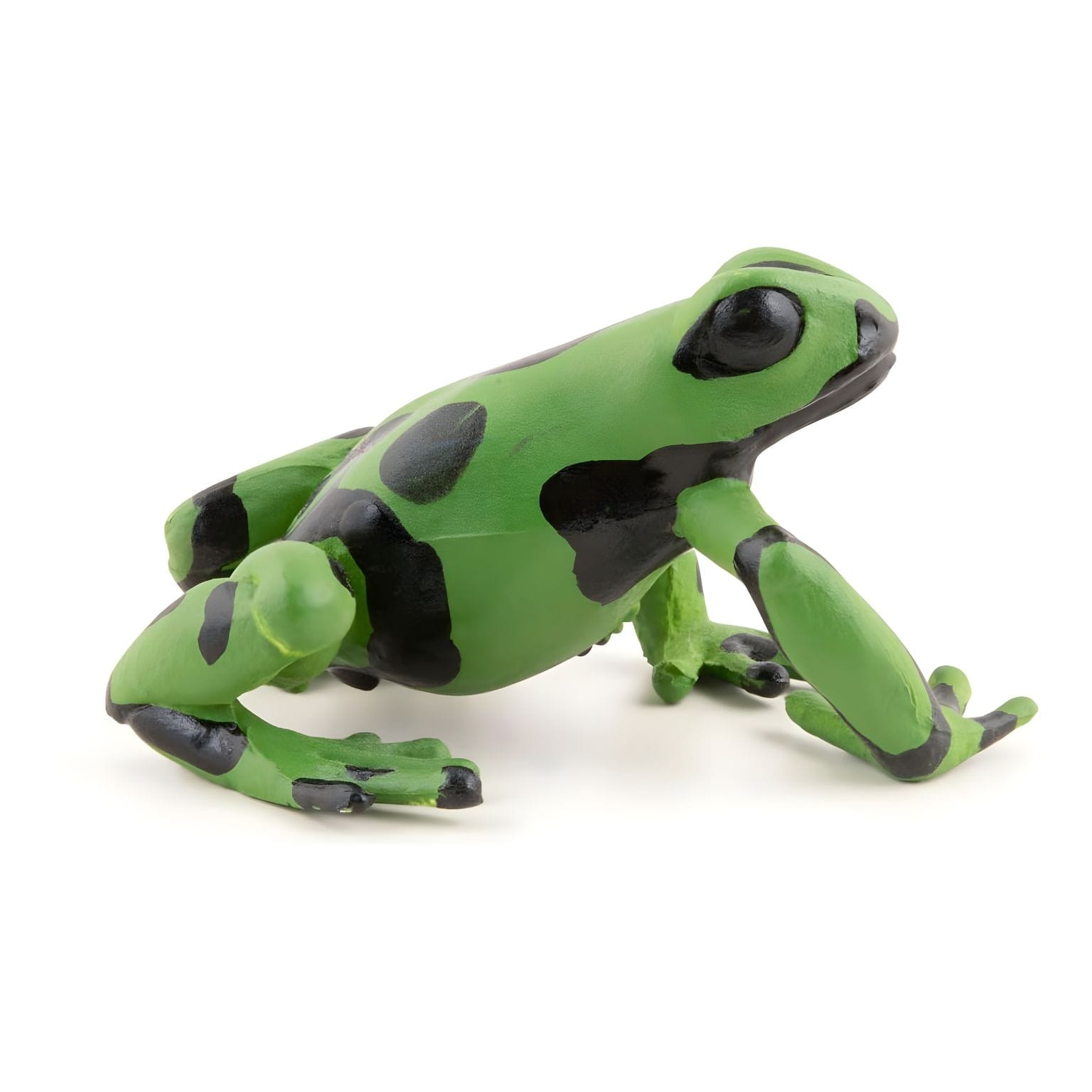 Figura de Borracha Rã-Verde Equatorial ( Imagem 2 de 4 ) - Preview