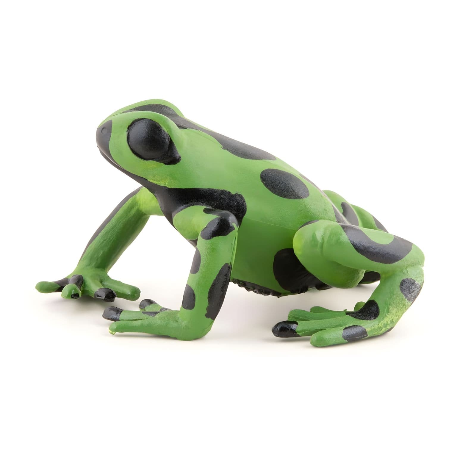 Figura de Borracha Rã-Verde Equatorial ( Imagem 4 de 4 ) - Preview