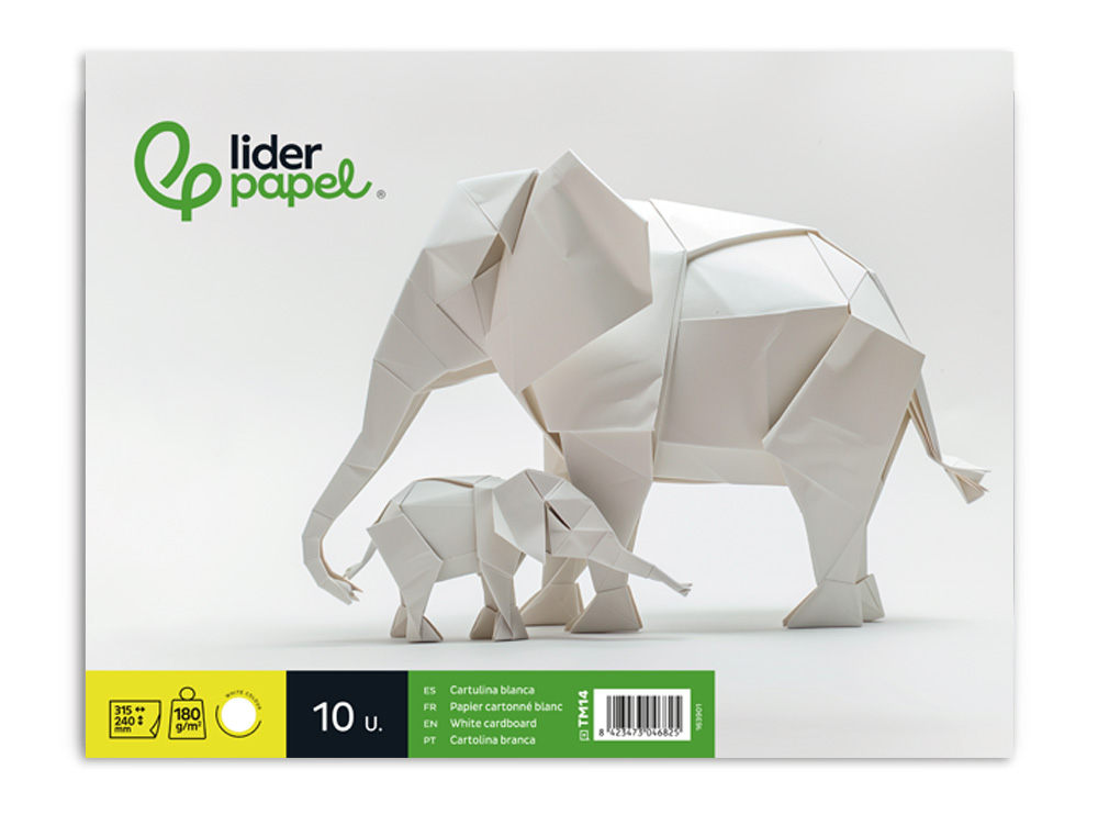 Bloco trabalhos manuais liderpapel cartolina 240x315mm 10 folhas cor branco ( Imagem 3 de 9 ) - Preview