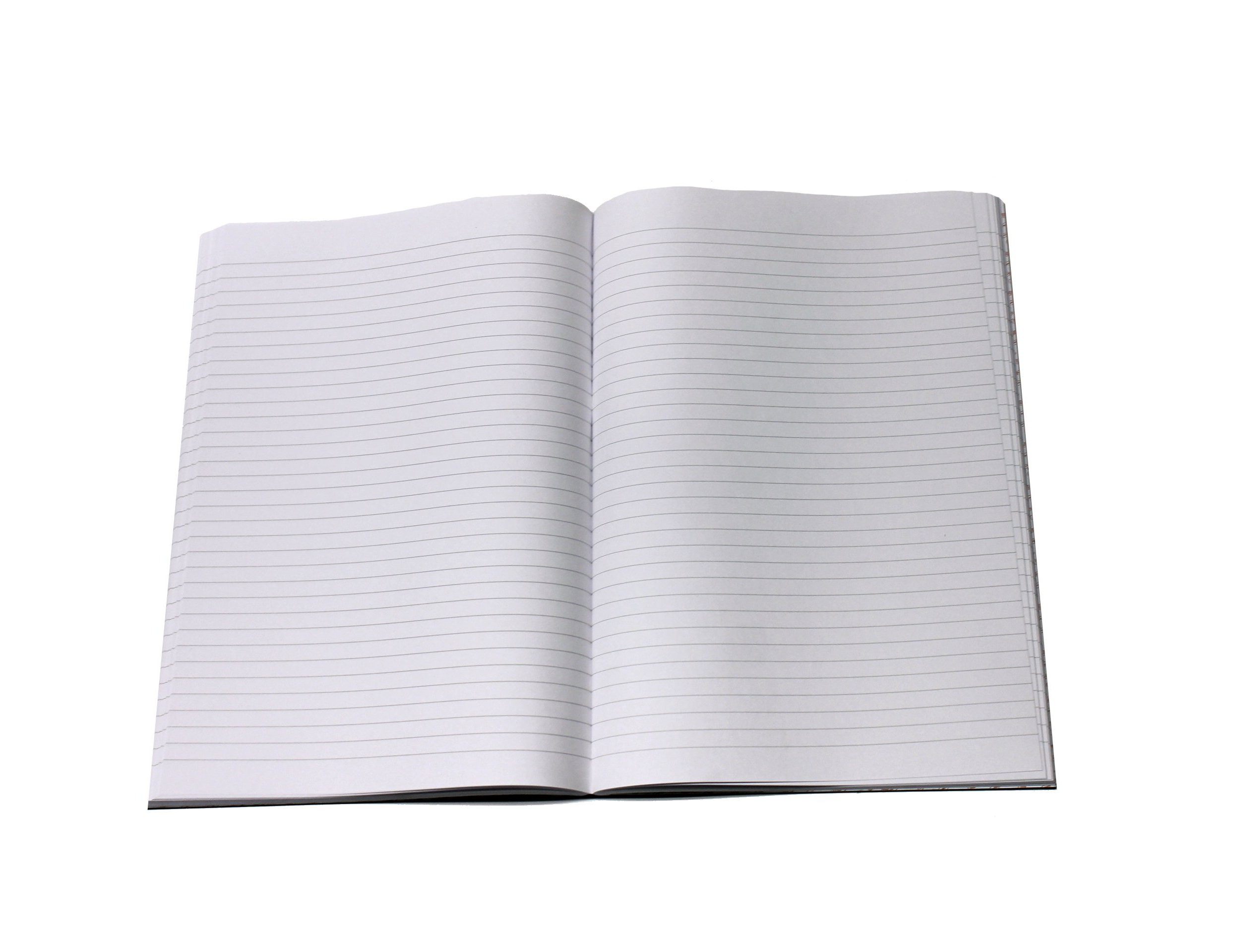 Livro miquelrius cartoné 3061 quarto 100 folhas horizontal ( Imagem 5 de 10 ) - Preview