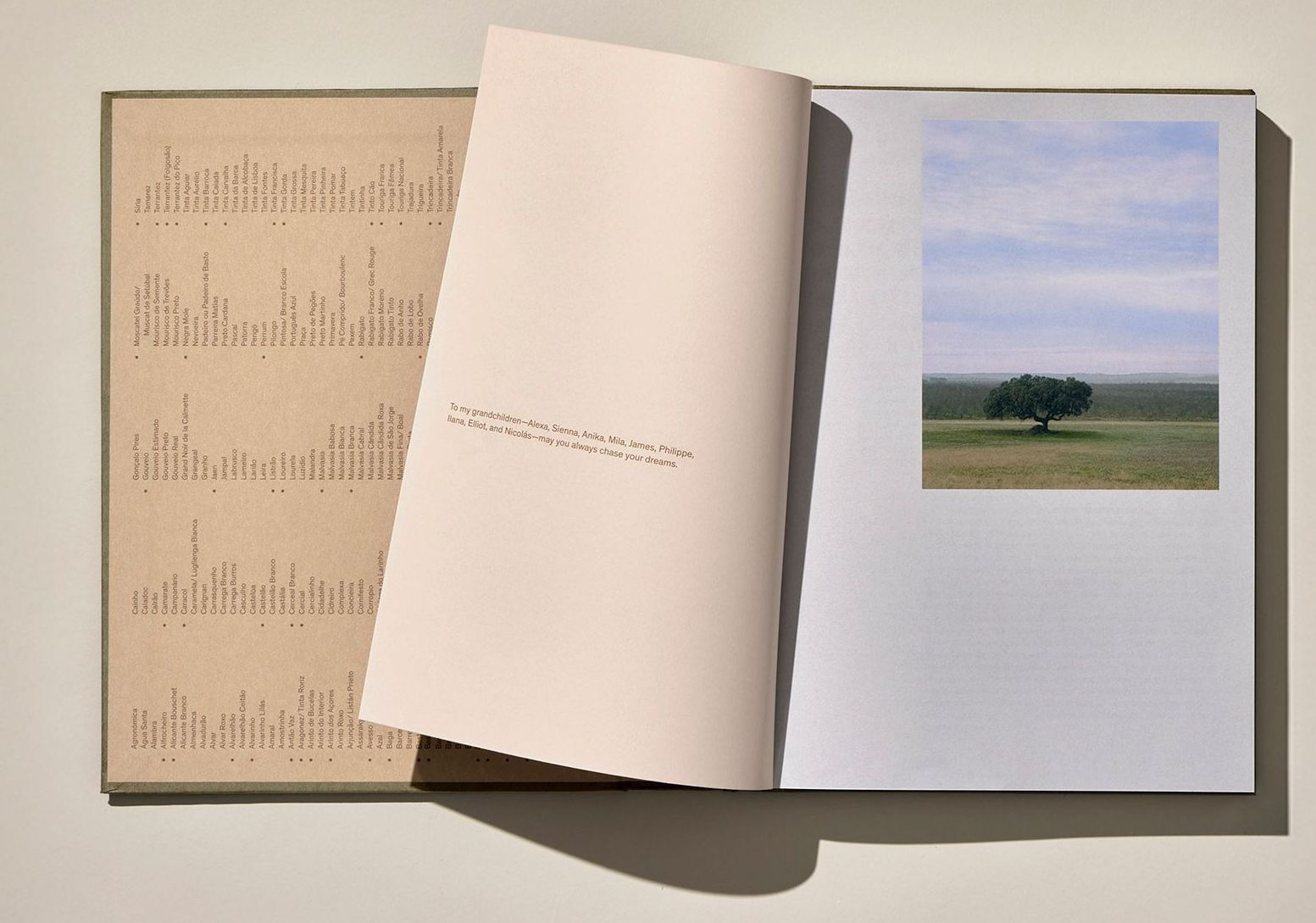 Echoes of the Land, Winemakers of Portugal ( Imagem 3 de 4 ) - Preview