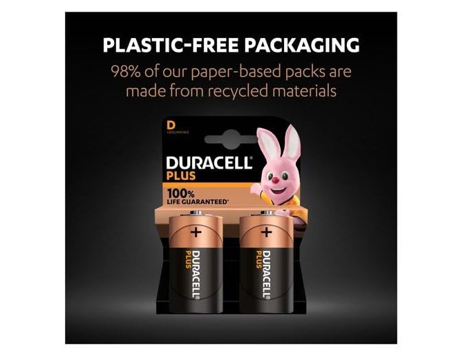 Pilha duracell alcalina d blister com 2 unidades ( Imagem 4 de 6 ) - Preview