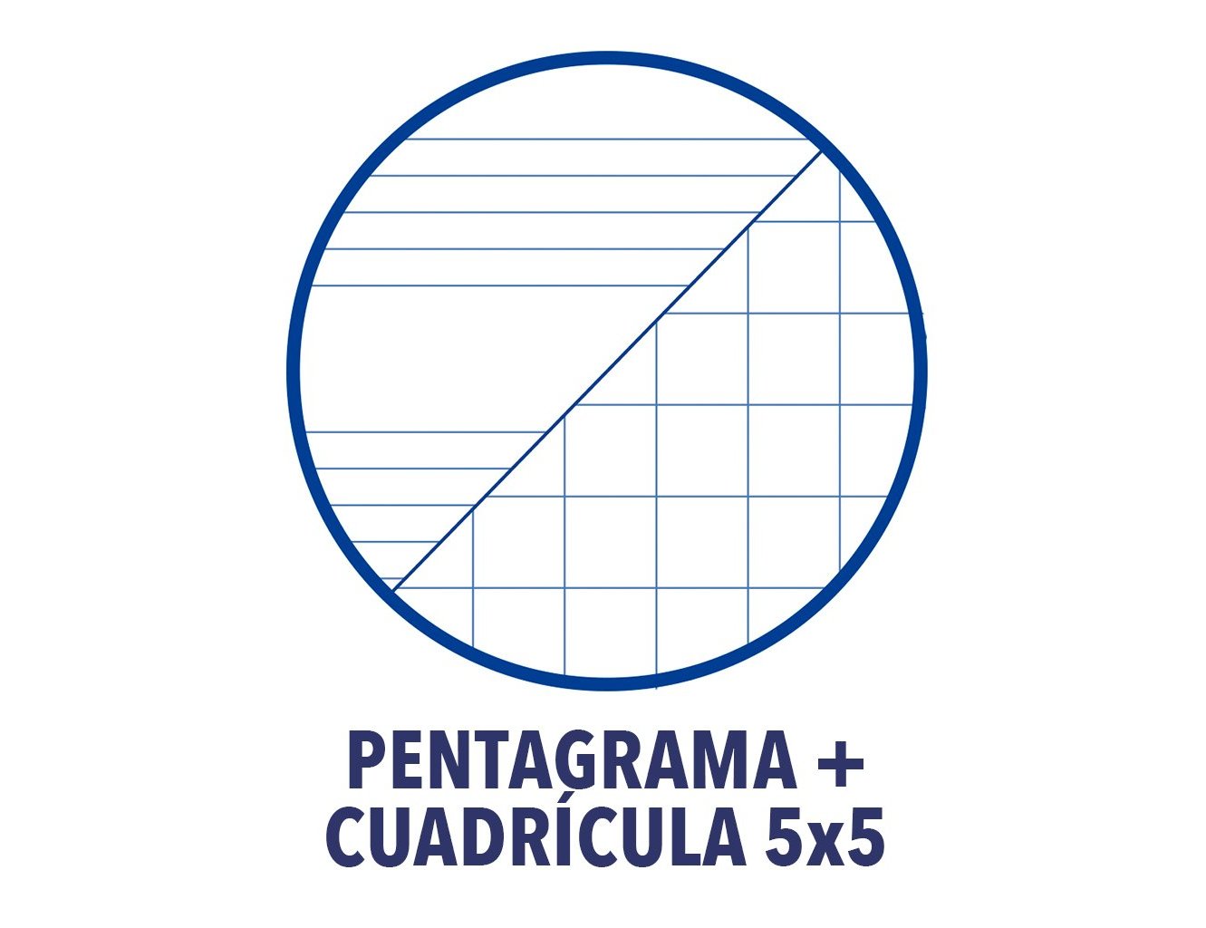 Caderno de Música e Canto Oxford Pentagrama inter linhado 2 mm + quadriculado 24 Folhas 90g ( Imagem 5 de 8 ) - Preview