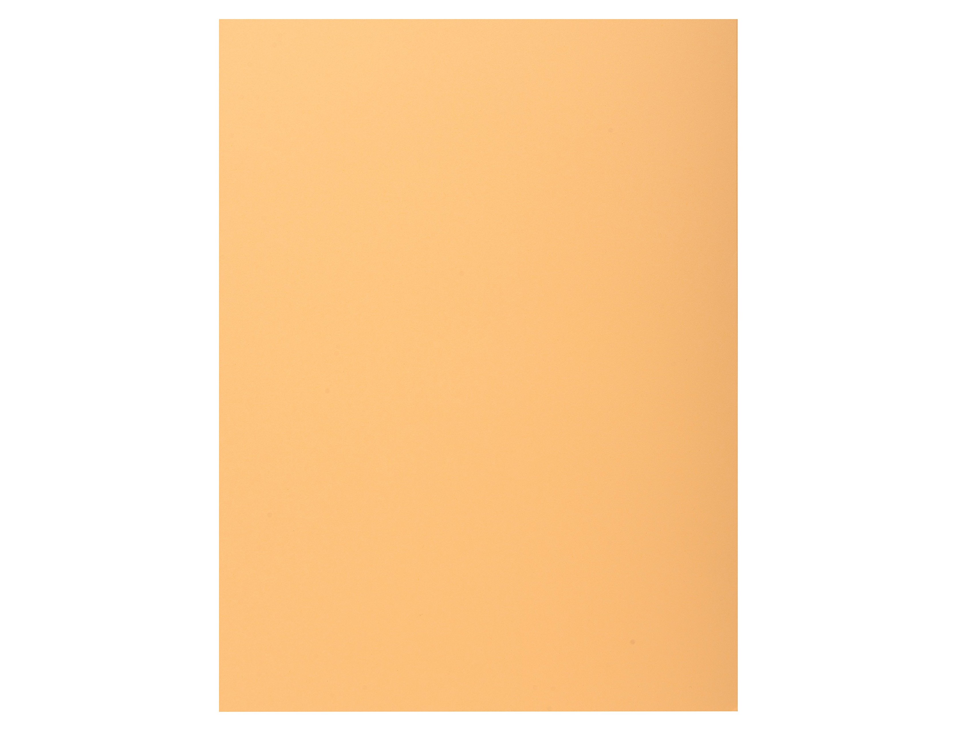 Exacompta DIN A4 cream classifier 160 gr with inner flap (100 units) ( Imagem 3 de 5 ) - Preview