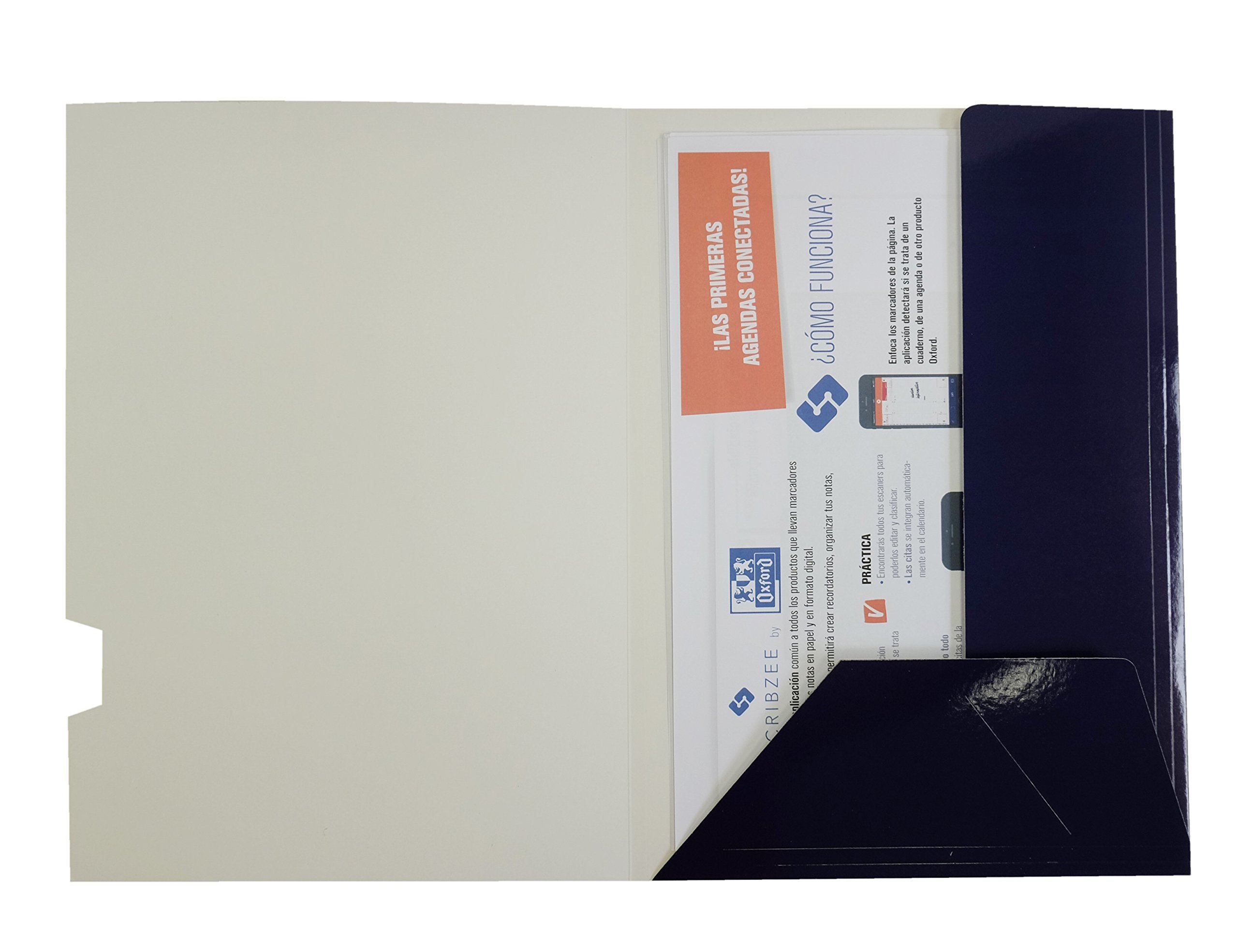 Classificador de cartolina gio plastificada apresentacao 2 abas din a4 azul 275g/m2 (25 unidades) ( Imagem 4 de 5 ) - Preview