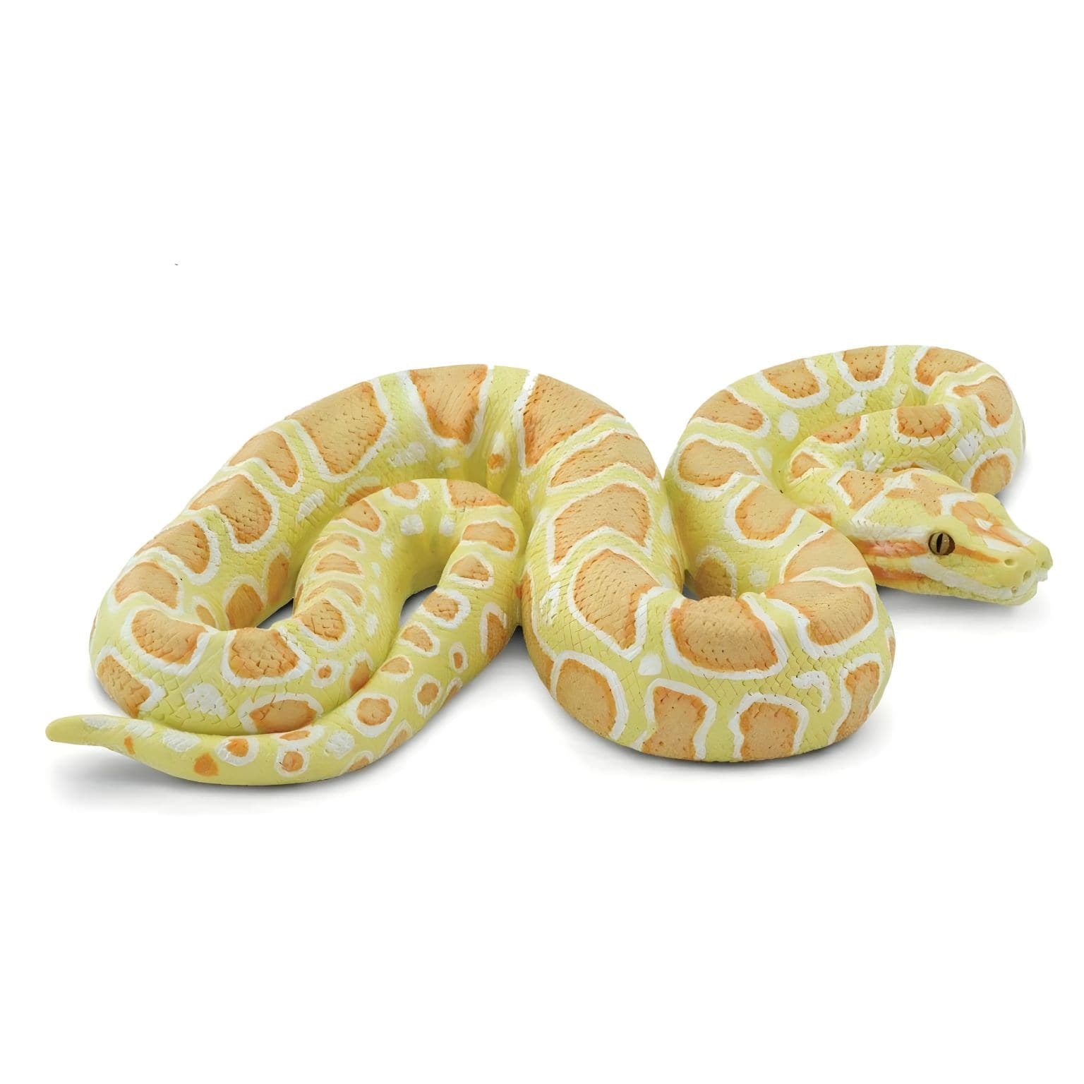 Figura de Borracha Píton Birmanesa ( Imagem 3 de 4 ) - Preview