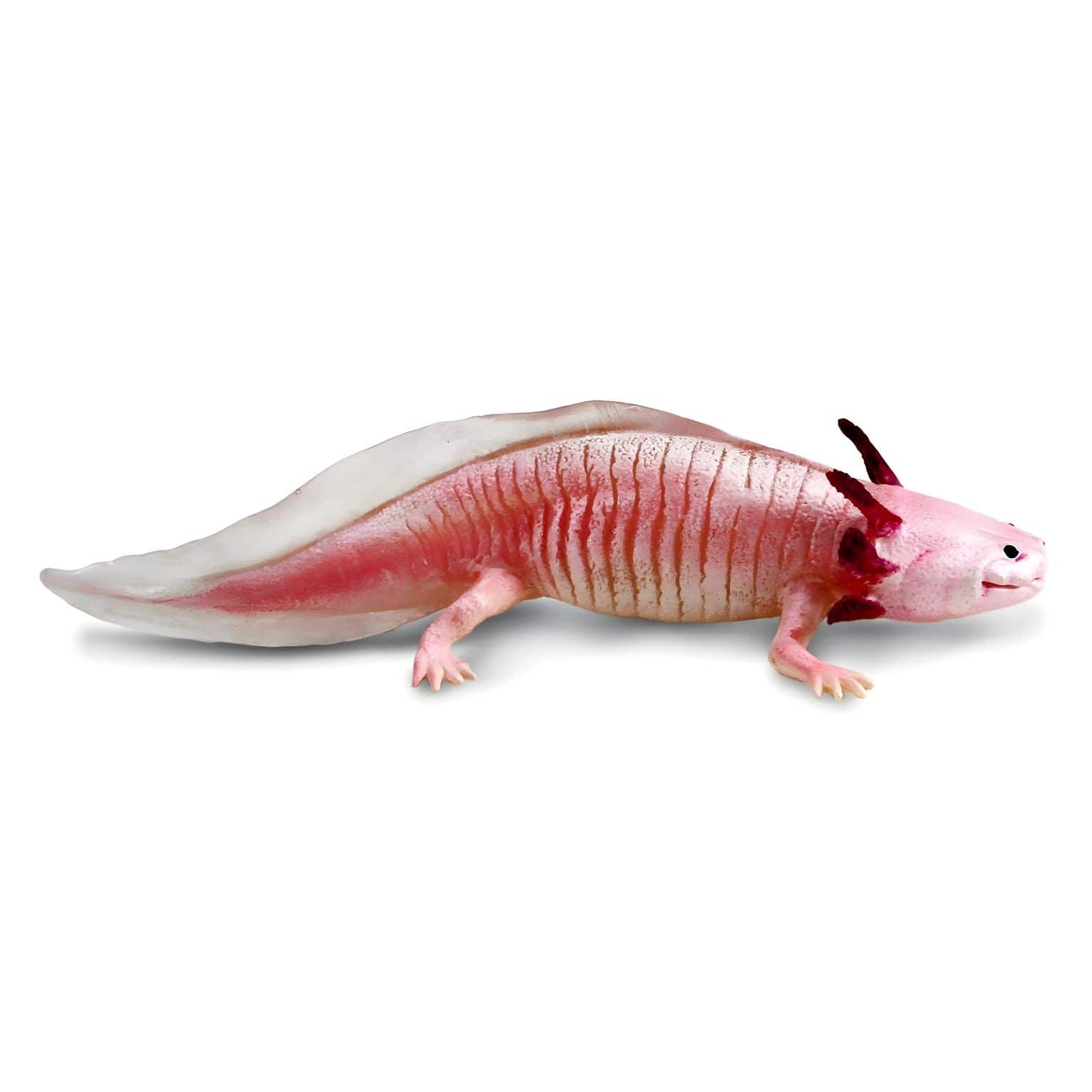 Figura de Borracha Axolotl ( Imagem 2 de 4 ) - Preview