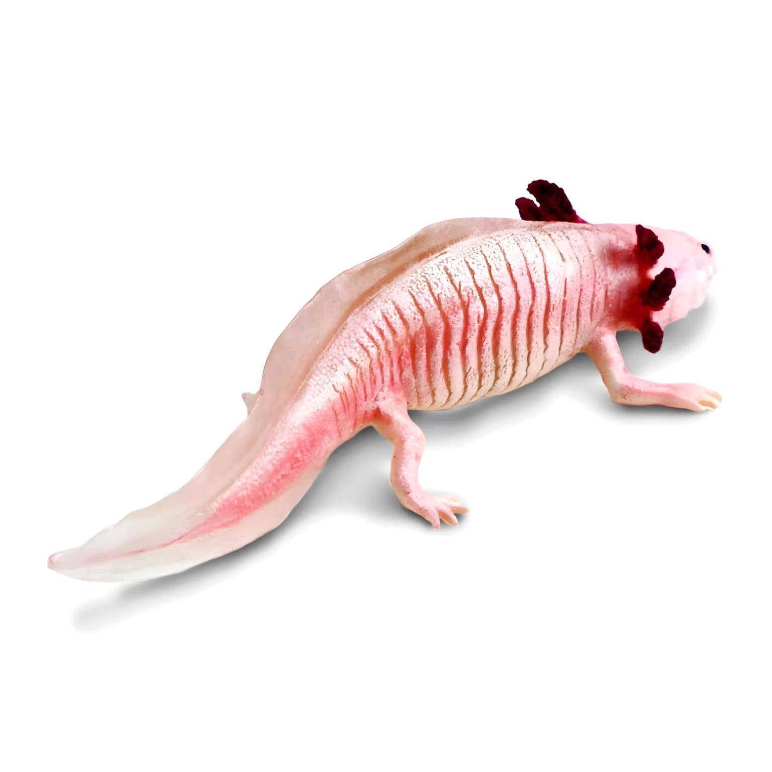 Figura de Borracha Axolotl ( Imagem 4 de 4 ) - Preview