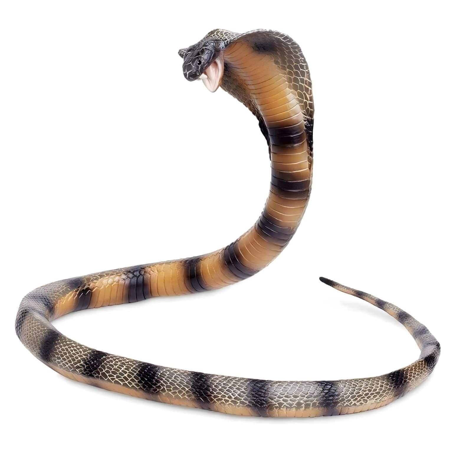 Figura de borracha - Cobra ( Imagem 2 de 4 ) - Preview