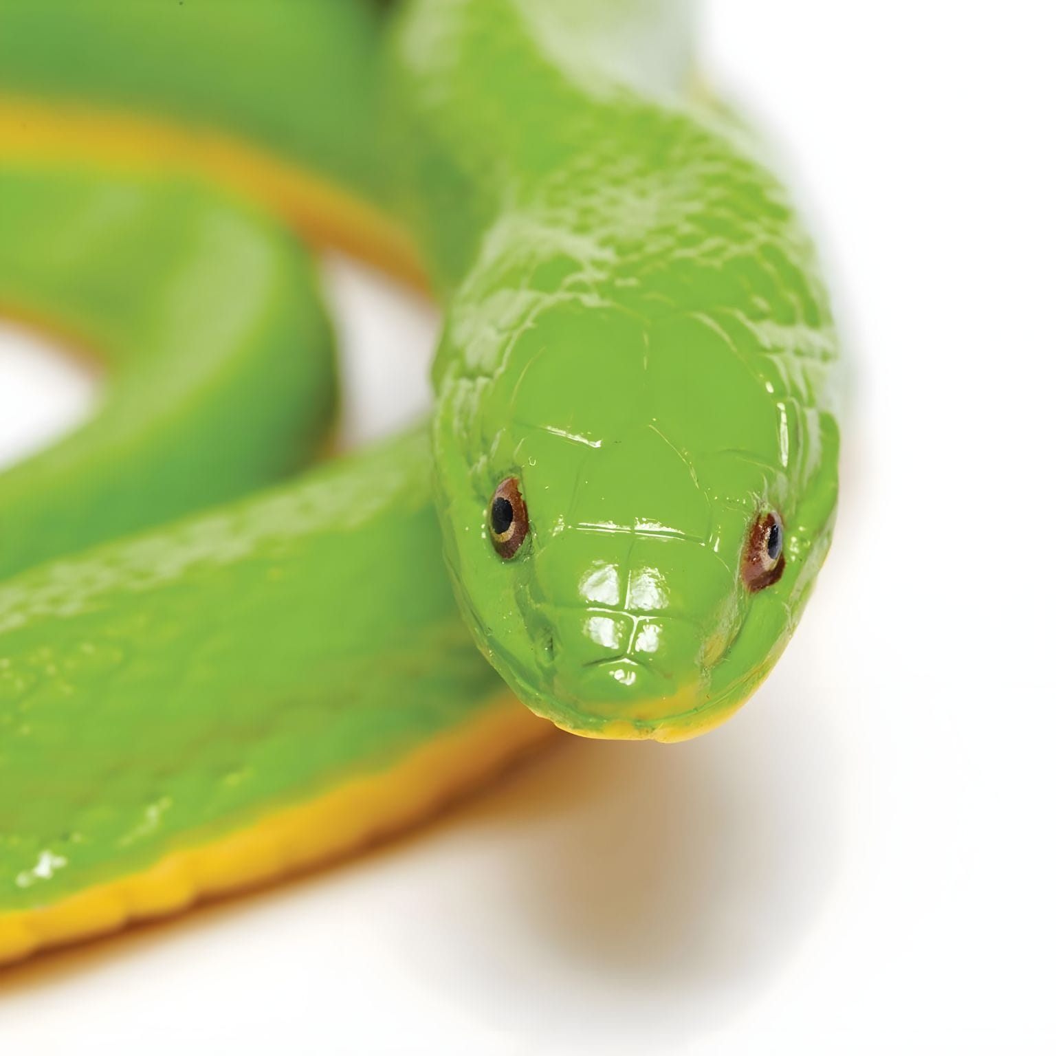Figura de borracha - Cobra Verde ( Imagem 3 de 4 ) - Preview