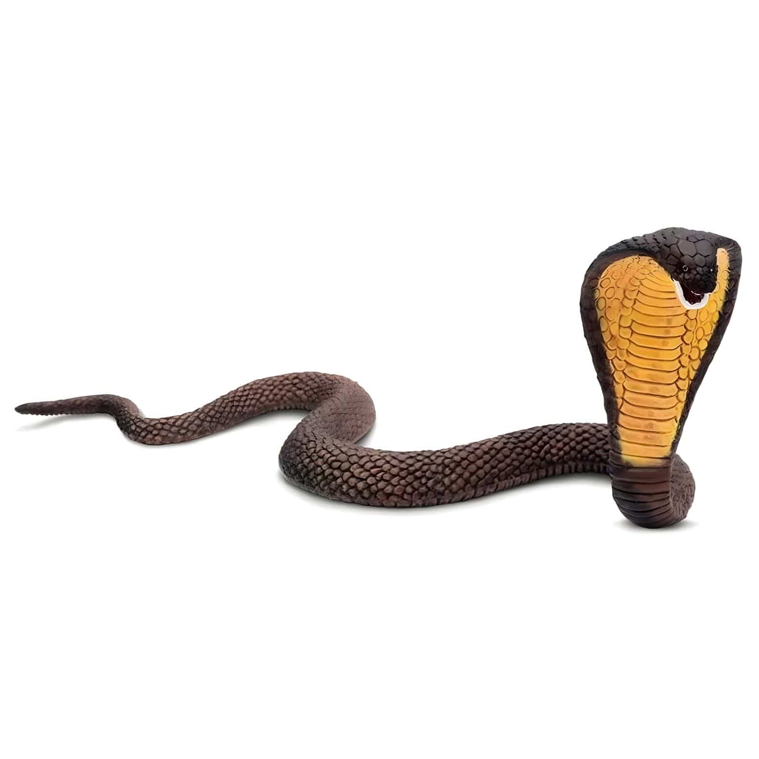 Figura de borracha - Cobra Naja ( Imagem 2 de 4 ) - Preview
