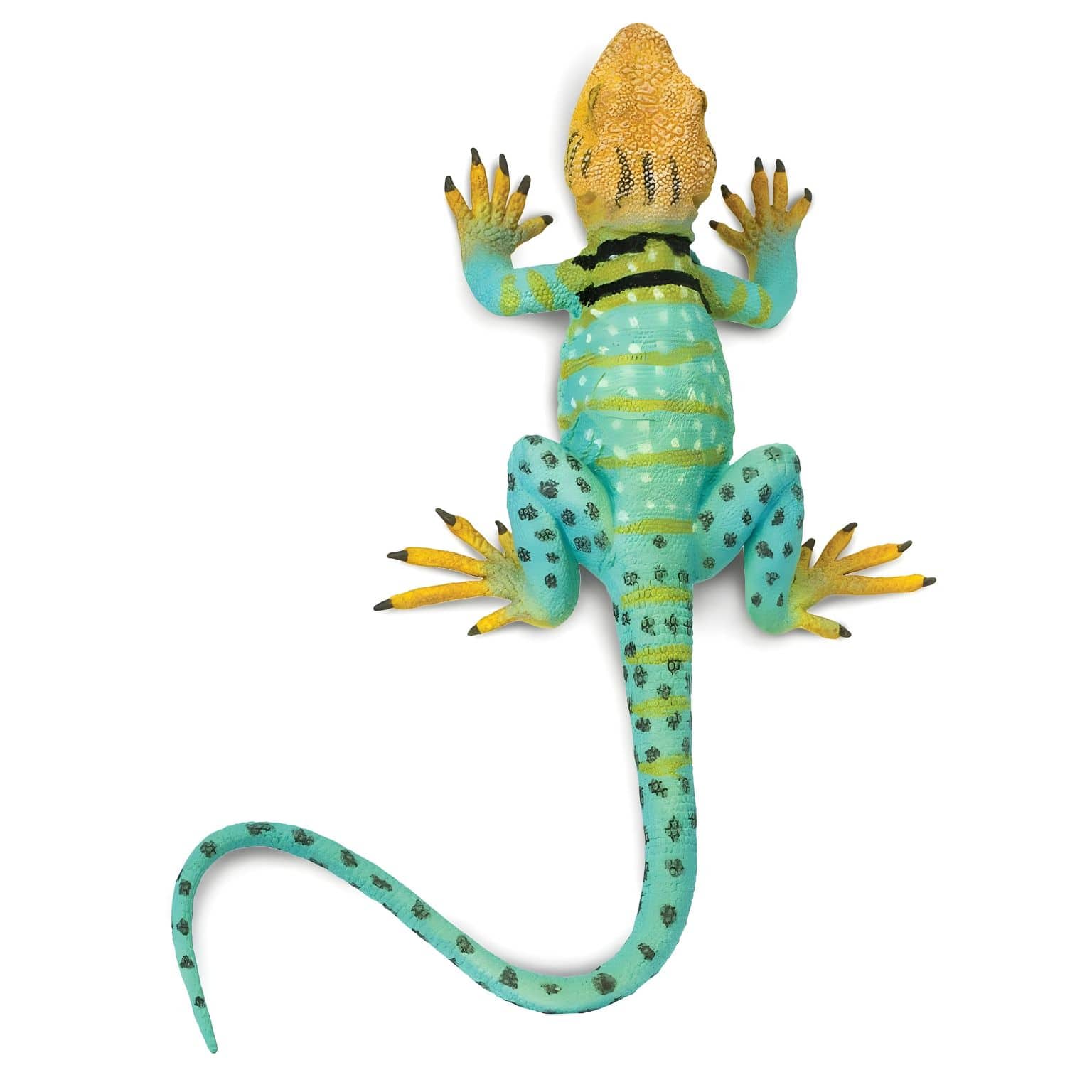 Figura de borracha - Iguana-de-colar ( Imagem 3 de 4 ) - Preview