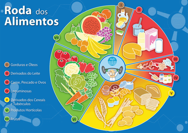 Puzzle Roda dos Alimentos - Material Didático - WOOK