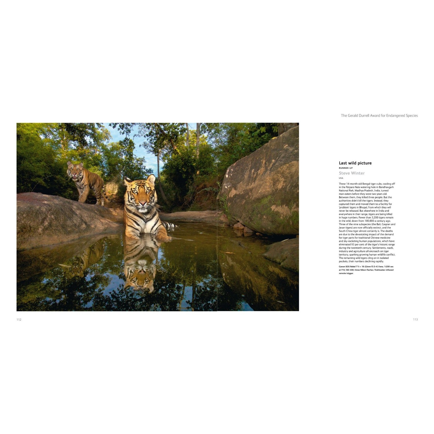 Wildlife ( Imagem 2 de 4 ) - Preview