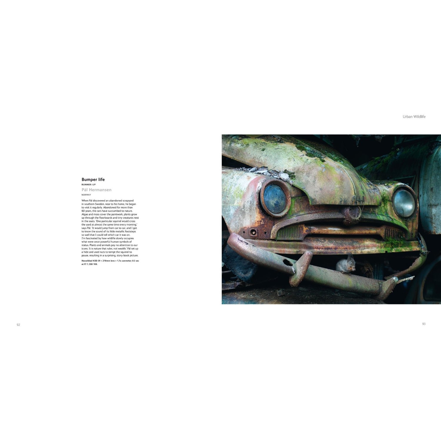 Wildlife ( Imagem 3 de 4 ) - Preview