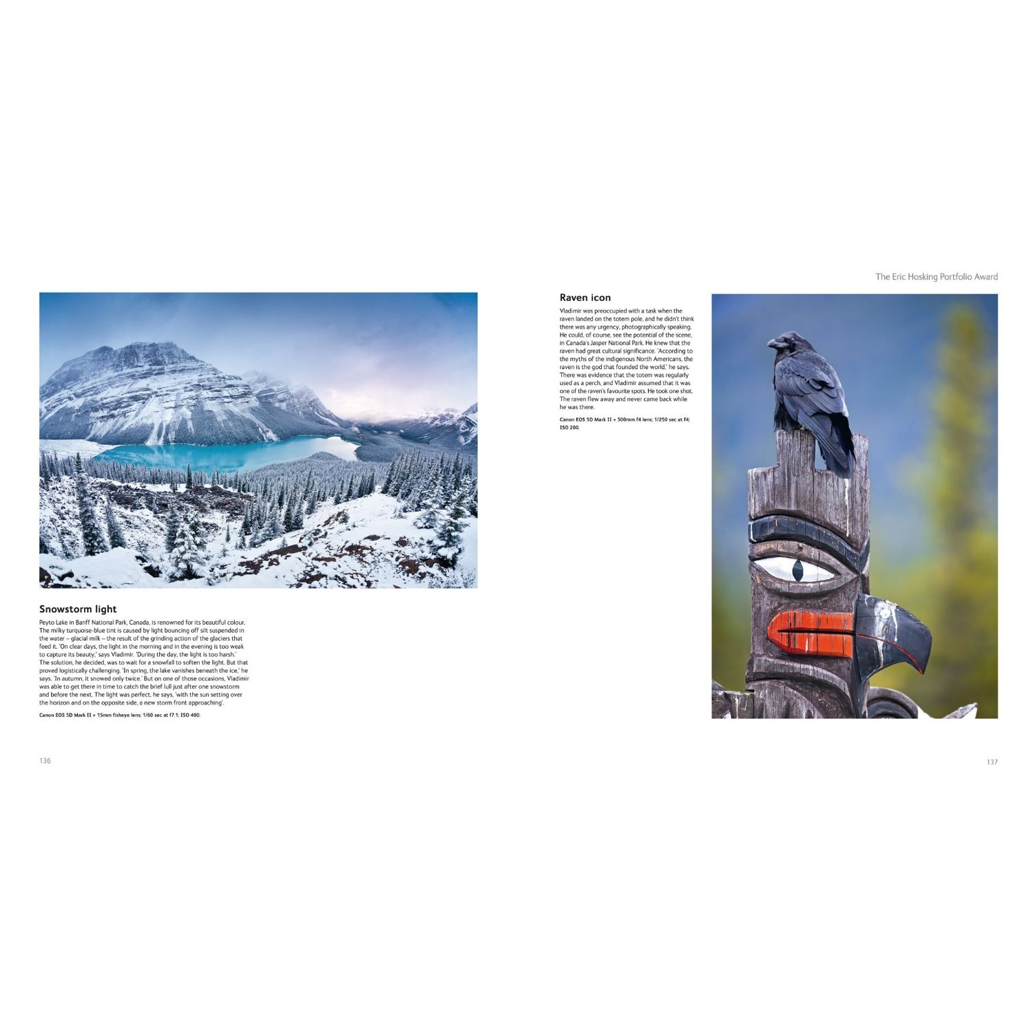 Wildlife ( Imagem 4 de 4 ) - Preview