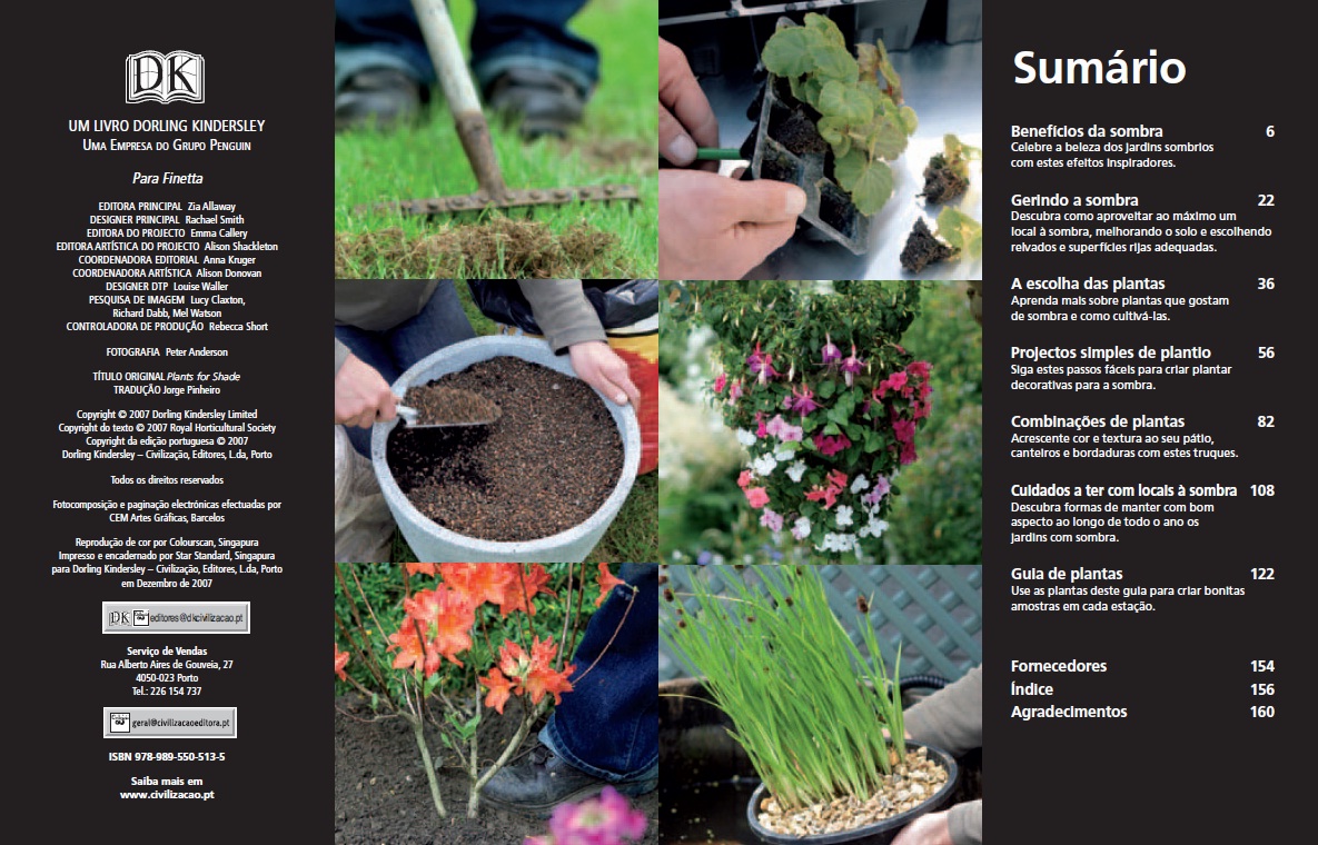 Plantas para Sombra ( Imagem 2 de 4 ) - Preview