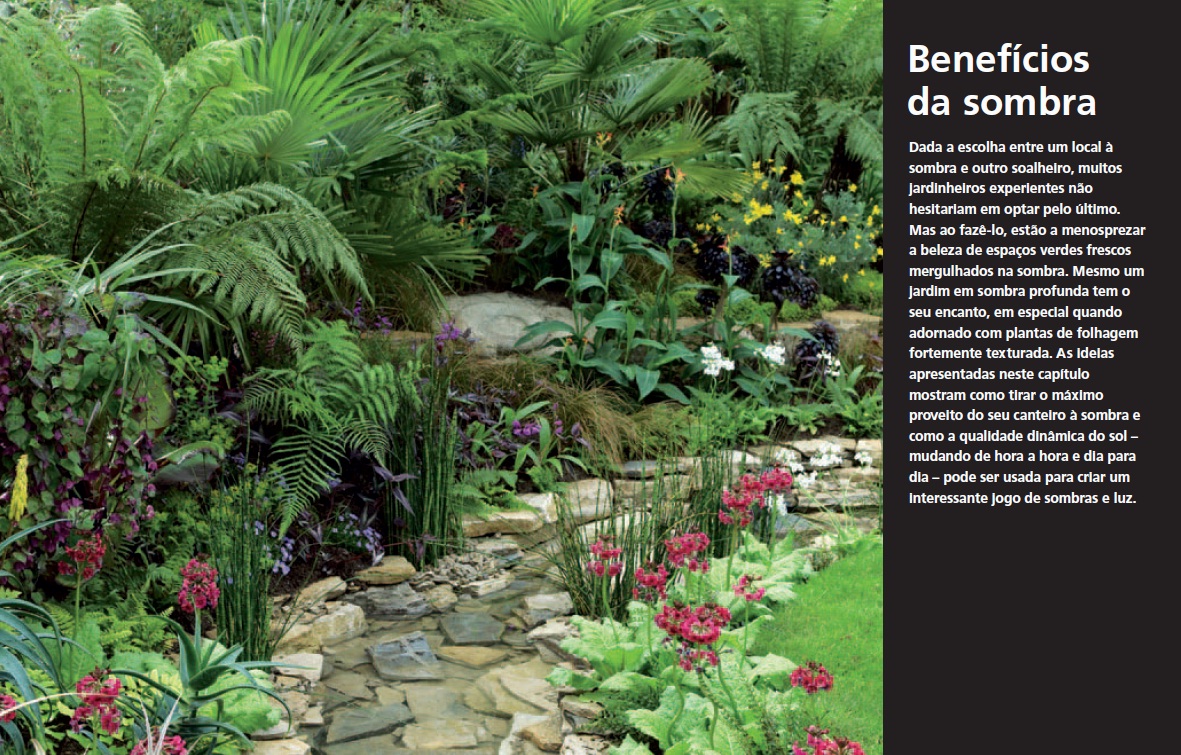 Plantas para Sombra ( Imagem 3 de 4 ) - Preview