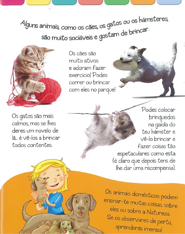 Os Meus Animais de Estimação ( Imagem 3 de 3 ) - Preview