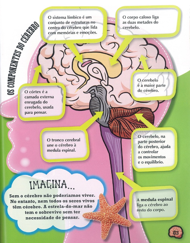 O Nosso Corpo ( Imagem 2 de 2 ) - Preview